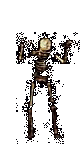 skelly1ani.gif